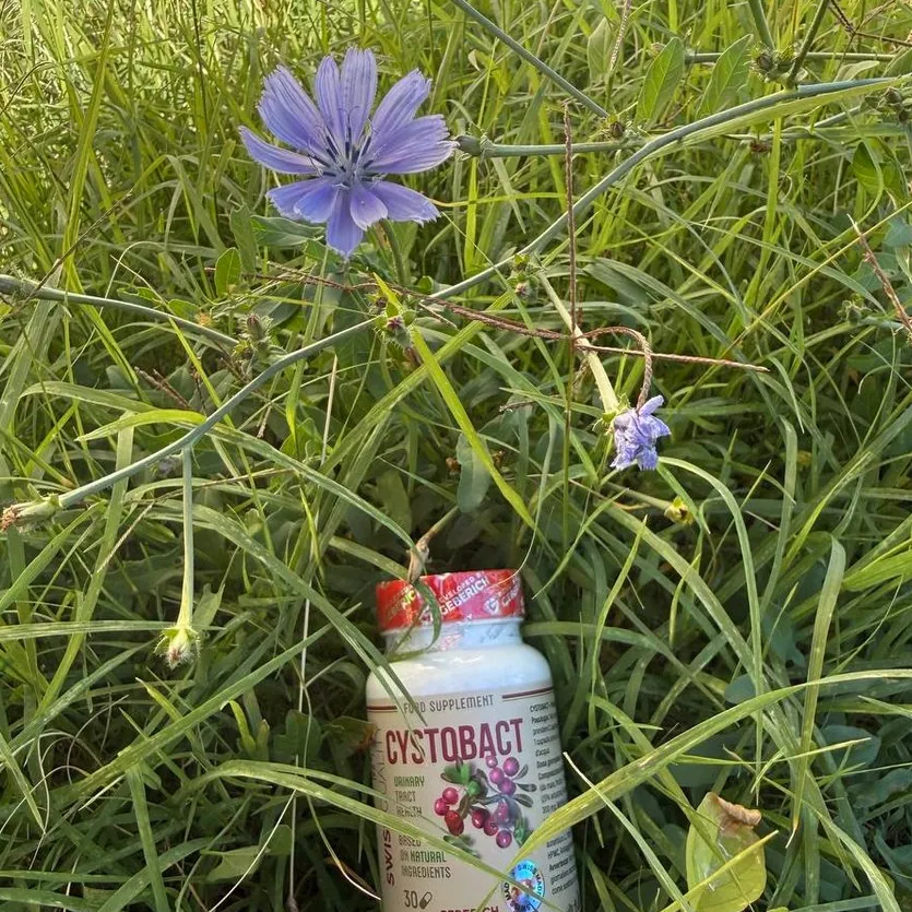 Cystobact — Foto 3